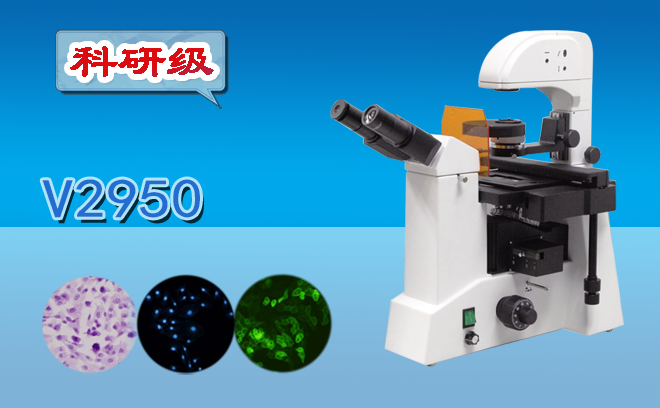 熒光哔咔漫画免费入口网页.png 熒光哔咔漫画免费入口网页.png