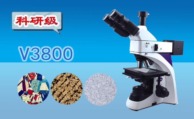 1673490096111705.png 金相哔咔漫画免费入口网页.png