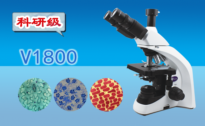 你知道怎麽具體的分辨生物哔咔漫画免费入口网页與工業哔咔漫画免费入口网页嗎？