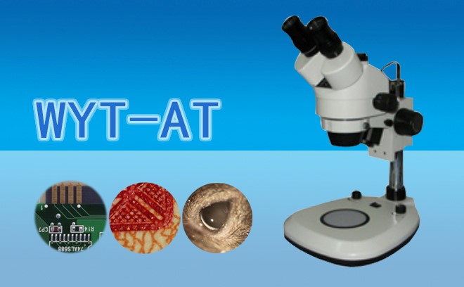 體視哔咔漫画免费入口网页在植物領域發揮的優勢有哪些